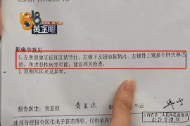 资阳企业清欠服务